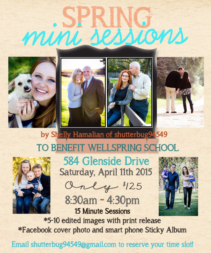 Wellspring Mini Session PromoFinal